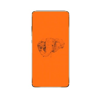 Kryt na mobil OnePlus Nord