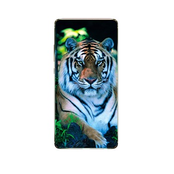 Zadní kryt na OnePlus Nord