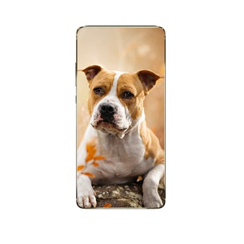 Kryt pre OnePlus Nord CE 3 5G