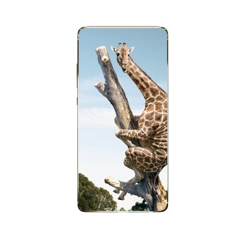 Zadní kryt na OnePlus Nord CE 3 5G